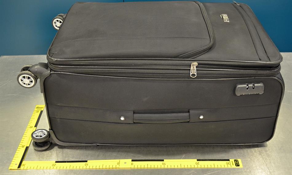 2019-1-29-729foto 4.jpg